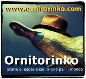 ornitorinko