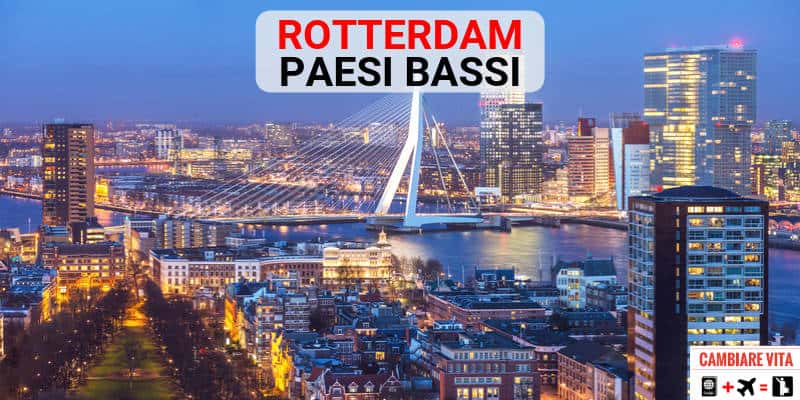 Lavorare Vivere a Rotterdam Paesi Bassi